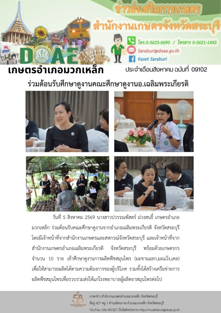 วันที่ 5 สิงหาคม 2569 นางสาวปวรรณพัสตร์ ม่วงสนธิ์ เกษตรอำเภอ      มวกเหล็ก ร่วมต้อนรับคณะศึกษาดูงานจากอำเภอเฉลิมพระเกียรติ จังหวัดสระบุรี  โดยมีเจ้าหน้าที่จากสำนักงานเกษตรและสหกรณ์จังหวัดสระบุรี และเจ้าหน้าที่จากสำนักงานเกษตรอำเภอเฉลิมพระเกียรติ จังหวัดสระบุรี พร้อมด้วยเกษตรกร จำนวน 10 ราย เข้าศึกษาดูงานการผลิตพืชสมุนไพร (มะขามแขก,มะแว้ง,เคล) เพื่อให้สามารถผลิตได้ตามความต้องการของผู้บริโภค รวมทั้งได้สร้างเครือข่ายการผลิตพืชสมุนไพรเพื่อรวบรวมส่งให้แก่โรงพยาบาลผู้ผลิตยาสมุนไพรต่อไป