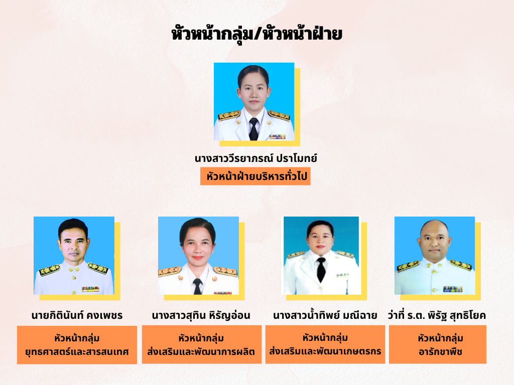 ผังหัวหน้ากลุ่ม/ฝ่าย